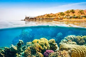 Red Sea Prints: Underwater view, coral reef, Dahab, Red Sea, Egypt