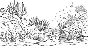 Underwater world coloring page. Coloring page life in the ocean with algae