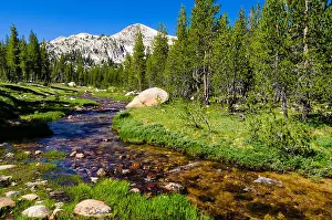 Active Prints: Unicorn Creek, Tuolumne Meadows, Yosemite National Park, California, USA