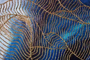 Fashion Illustration Prints: Unique abstract painting with blue background and gold veins