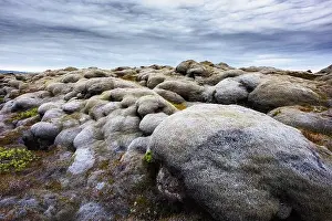 Lichen Prints: Unique Iceland landscape with lava field covered with brown moss Eldhraun from volcano eruption and cloudy sky
