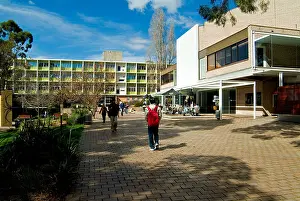 Universities Prints: University of Tasmania, Sandy Bay campus, Hobart, Tasmania