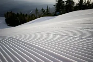Maine Prints: Untracked corduroy on a trail at Sunday River Ski Resort in Bethel, Maine