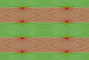Threads Prints: unusual green leaf macro background