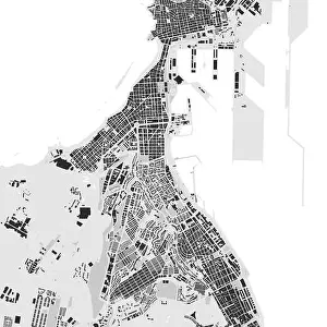 White Vector Vectors Prints: Urban city map of Las Palmas de Gran Canaria
