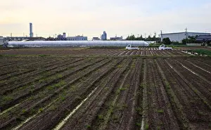 Osaka Prints: Urban farming in the town of Hineno with Rinku Gate Tower