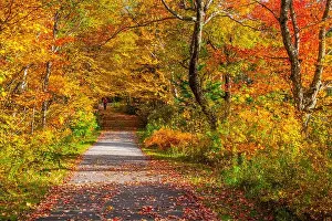 New Hampshire Prints: USA, New Hampshire, Franconia