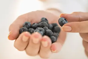 35 39 Years Prints: USA, New Jersey, Jersey City, Blueberries on woman's hand