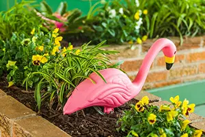 Flamingo Prints: USA, New Jersey, Wildwoods. 1950's Doo-Wop architecture, plastic pink flamingo