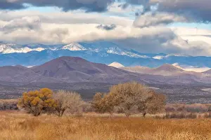 Cathy And Gordon Illg Prints: USA, New Mexico, Bosque Del Apache National Wildlife Refuge
