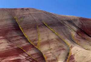 Layered Prints: USA, Oregon, John Day Fossil Beds National Monument