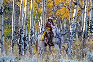 Wyoming Prints: Usa, Wyoming, Shell, The Hideout Ranch, A Cowgirl Riding Through the Aspen Trees (MR, PR)