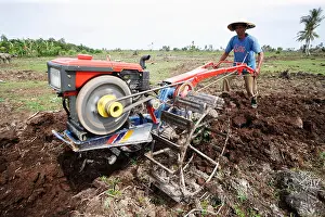 Mature Men Prints: Using a walking tractor or Iron Buffalo to plough fields; Aceh Province, Indonesia