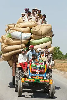 Punjab Prints: Usman Kurea, Pakistan, transport the harvest on a tractor