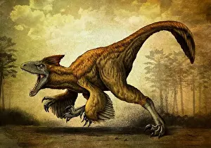 Claw Prints: Utahraptor, a large dromaeosaur dinosaur from the Cretaceous Period
