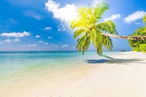 Images Dated 11th January 2017: Vacation beach, palm over blue sea, idyllic tropical landscape with blue sky and clouds. Resort