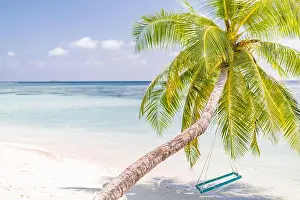 Vacation beach, palm over blue sea, idyllic tropical landscape with blue sky and clouds. Resort