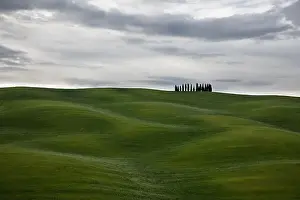 Val Dorcia Prints: Val d'Orcia famous cypress trees on a cloudy and overcast day. Tuscany, Italy
