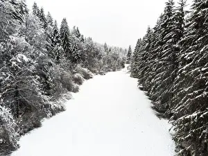 Valley with snow covered trees in winter. Aerial drone view