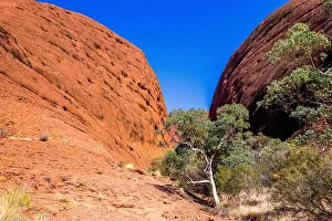 Desolate Prints: Valley of the Winds walk in the Olgas
