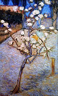 Vincent Prints: Van Gogh, Pear tree in blossom