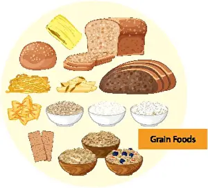 Carbohydrates Prints: Various grain-based foods including bread