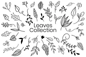 Line Art Prints: Various leaves doodle collection vector