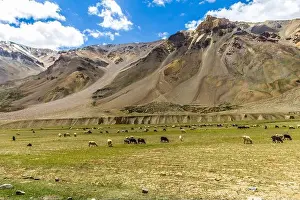 Highways Prints: Various views of the Manali Leh Highway