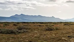 Mountain Ridge Prints: Vast tundra landscape across the Flatruet High Fell