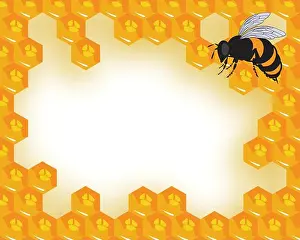 Honeycomb Prints: the vector bees and honeycomb with honey