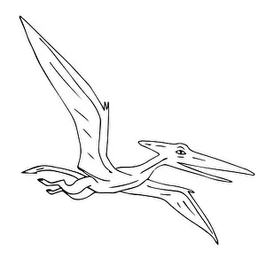 Vector black hand drawn outline sketch flying pterodactyl dinosaur isolated on white background