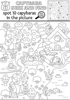 Meditating Prints: Vector black and white capybara searching game with summer landscape