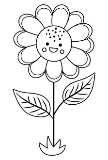 Print Vector Vectors Prints: Vector black and white sunflower line icon