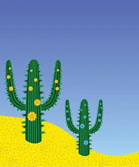 Cactuses Prints: vector cactuses in desert