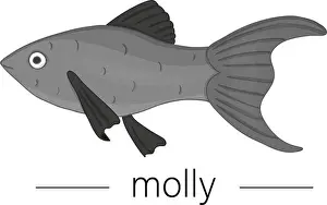 White Hand Prints: Vector colored illustration of aquarium fish