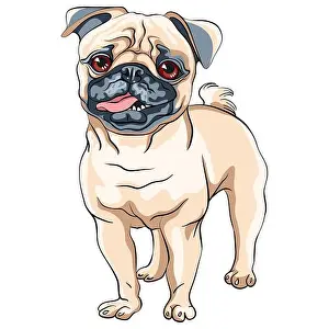 Curled Prints: Vector cute dog pug breed fawn color