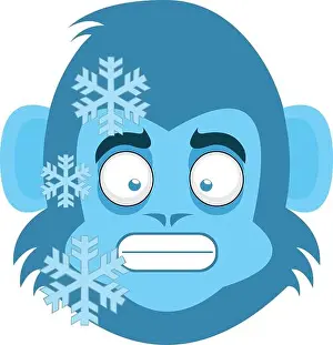 Celsius Prints: Vector emoticon illustration of the face of a cartoon frozen monkey