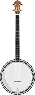 Vector illustration of a banjo in cartoon style isolated on white background