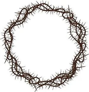 Book Cover Prints: A vector illustration of brown crown of thorns. Jesus crown. Spines, briars, prickles