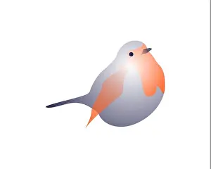 Feathered Prints: Vector illustration in graphic style