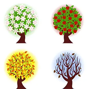Changing Prints: vector illustration of the four seasons of apple tree
