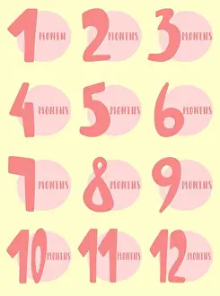 Stickers Prints: Vector image of 12 months for the baby girl