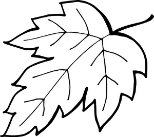Wall Decor Prints: Vector line drawing abstract fall leaf