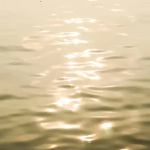 Fresh Water Prints: vector realistic water texture