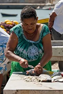 Citizens Prints: Vertical portrait of a local Cape Verdean woman gutting fresh fish on the quay in Palmeira on Cape Verde