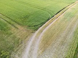 Directly Above Prints: Vertical stripes of agricultural parcels of different crops