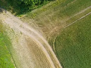 Arable Prints: Vertical stripes of agricultural parcels of different crops