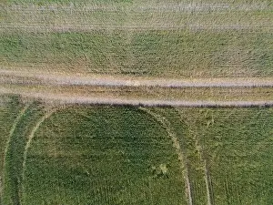 Directly Above Prints: Vertical stripes of agricultural parcels of different crops