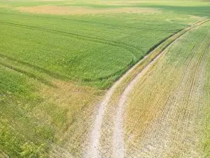 Arable Prints: Vertical stripes of agricultural parcels of different crops