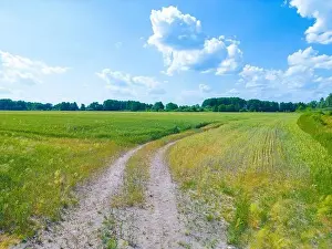 Arable Prints: Vertical stripes of agricultural parcels of different crops
